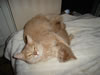 DSC01657