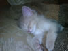 IMG00005-20091025-1956