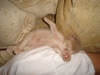 DSC01618