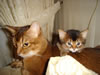 DSC01884