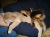 DSC01886