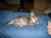 DSC01887