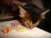 DSC01889
