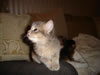 DSC01892