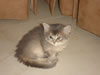 DSC01894