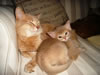 DSC01900