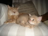 DSC01904