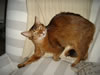DSC01905