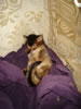 DSC01912