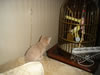 DSC01913