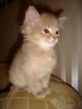 DSC01914