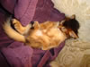 DSC01917