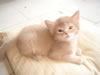 DSC01927