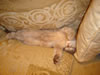 DSC01928