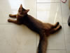 DSC01158-winjpg