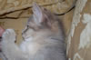 DSC 0044 (Large)