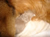 DSC01408